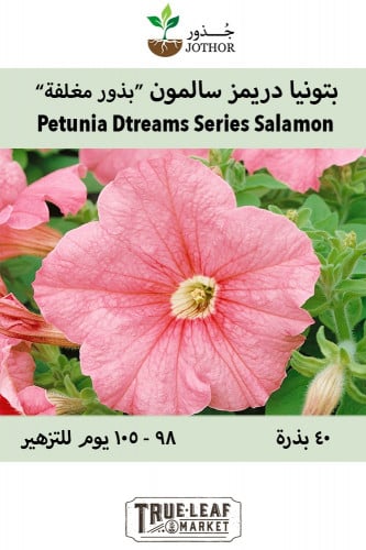 بذور بتونيا دريمز سالمون - Dreams Series Salmon Petunia Seeds