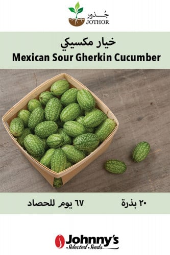 بذور خيار مكسيكي - Mexican Sour Gherkin Cucumber S...