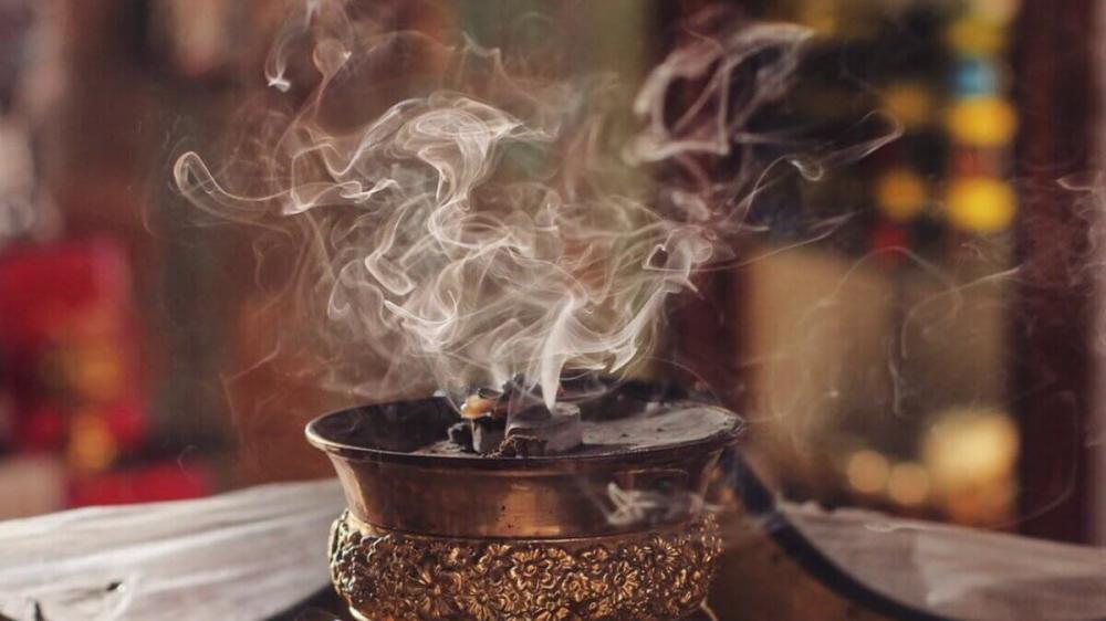 الفرق بين العود المحسن والطبيعي