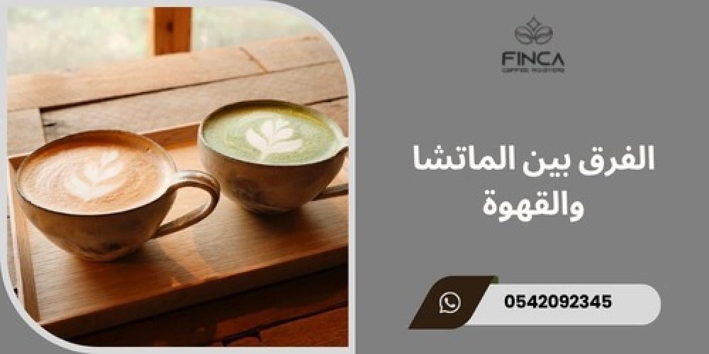الفرق بين الماتشا والقهوة ـــ متجر فنكا