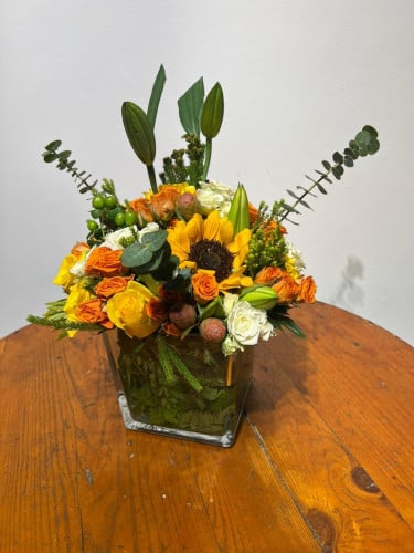 فازة الشفاء