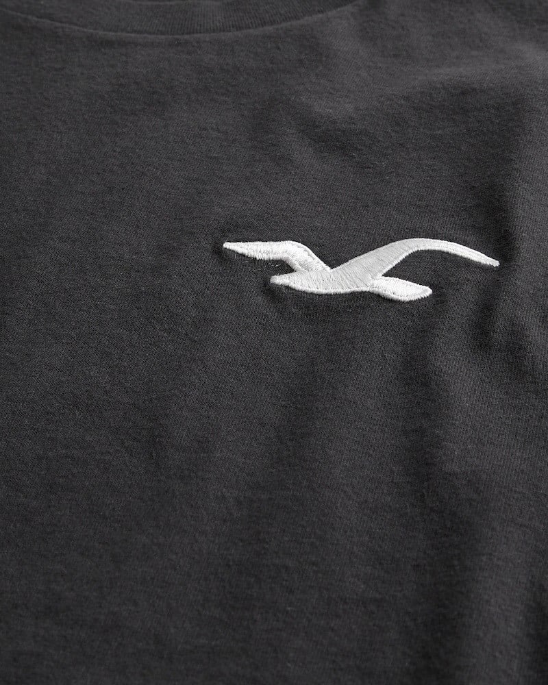 Холлистер футболка с надписью hollister. Чайка бренд одежды. Чайка бренд одежды. Чайка логотип. Марка одежды с чайкой.