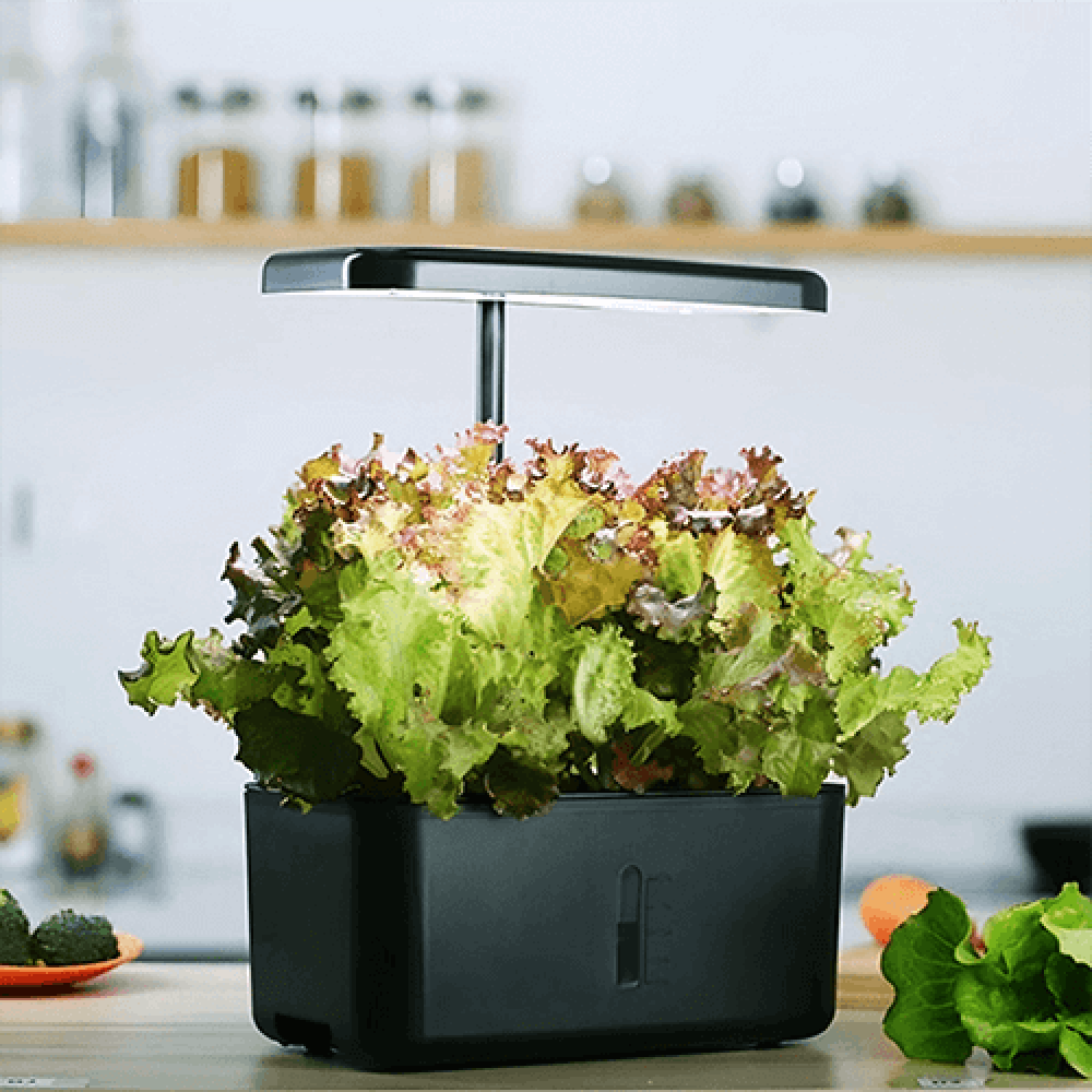 جهاز زراعة مائية منزلية, جهاز زراعة منزلي, جهاز الزراعة المائية أسود