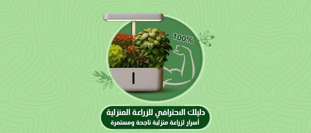 اسرار زراعة منزلية مائية ناجحة وفعالة بجهاز الحديقة المنزلية قرين ليلي