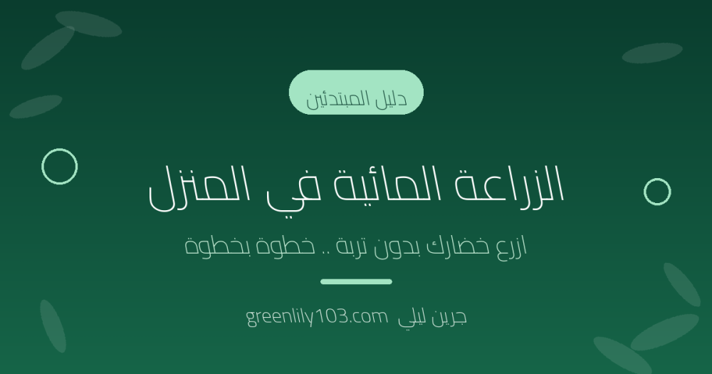 الزراعة المائية في المنزل: دليلك الكامل للبدء خطوة بخطوة