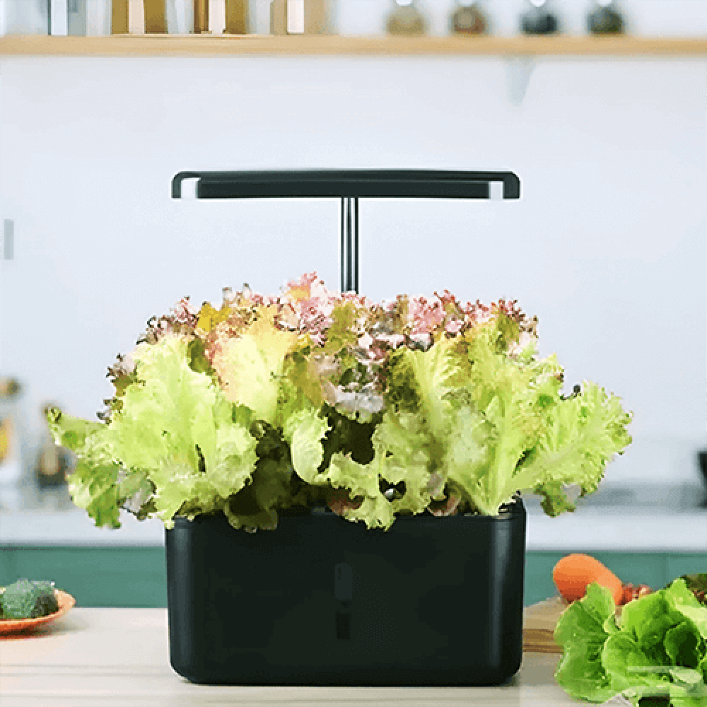 افضل جهاز زراعة مائية داخل المنزل, زراعة مائية منزلية, click and grow