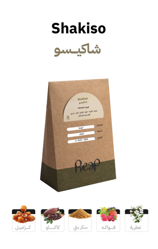 شاكيسو - إثيوبيا