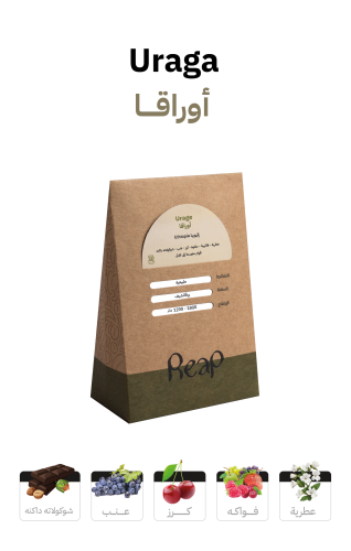 اوراقا - إثيوبيا