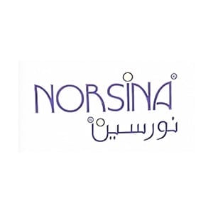 Norsina
