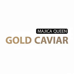 Magica queen
