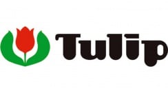 توليب