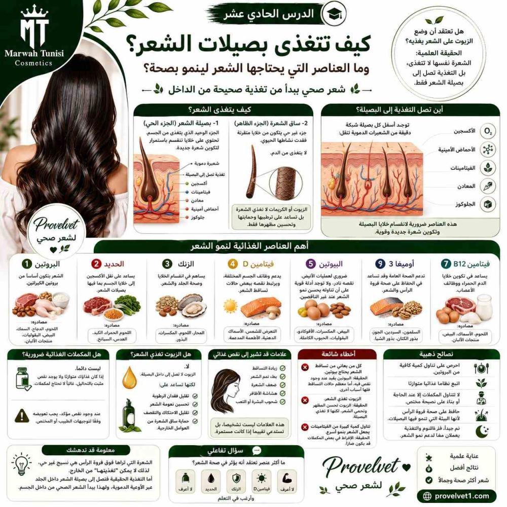 11- كيف تتغذى بصيلات الشعر