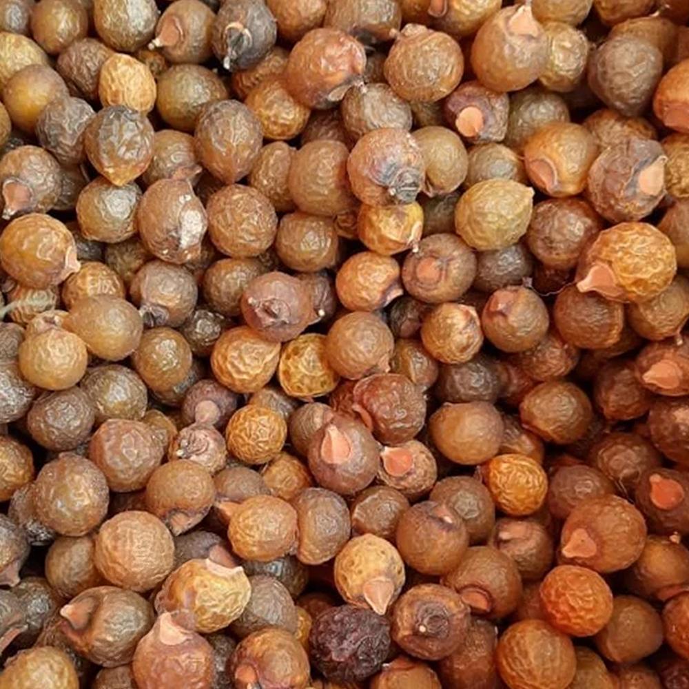 CLENZ, Indian Ritha (Rita), 100% Natural - Multiple Sizes