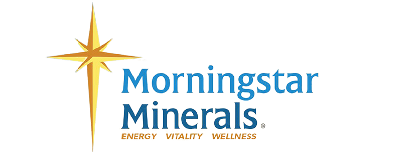 مورننق ايست - Morningst