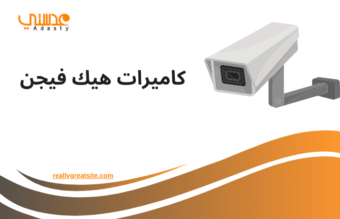 كاميرات هيك فيجن