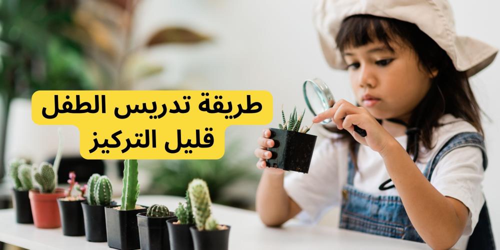طريقة تدريس الطفل قليل التركيز