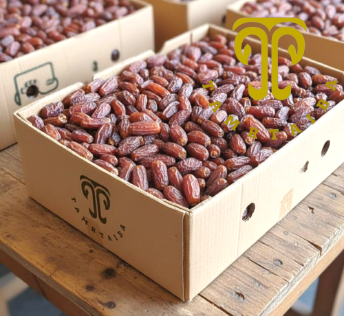 مبروم المدينة المنورة الفاخر حصاد 1447هـ