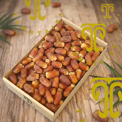 رطب صقعي المدينة المنورة الفاخر حصاد 1447هـ