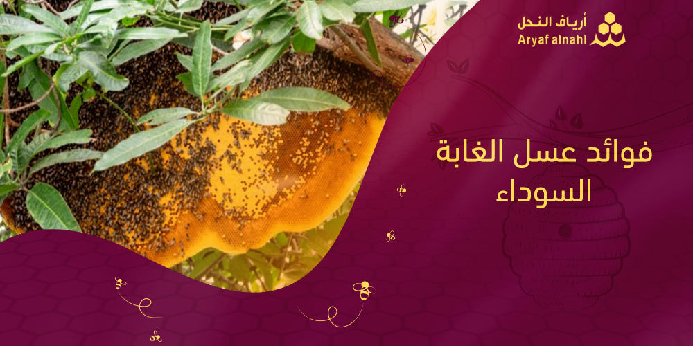 عسل الغابة السوداء: العلاج الطبيعي لمشاكل الجهاز الهضمي