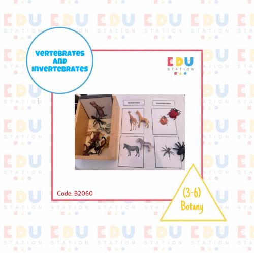 Vertibrates and Invertibrates (Box + Objects + Car...