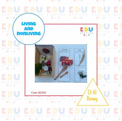 Living and nonliving (Box + Objects + Cards) - Eng...