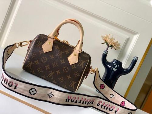 Louis Vuitton speedy 20CM