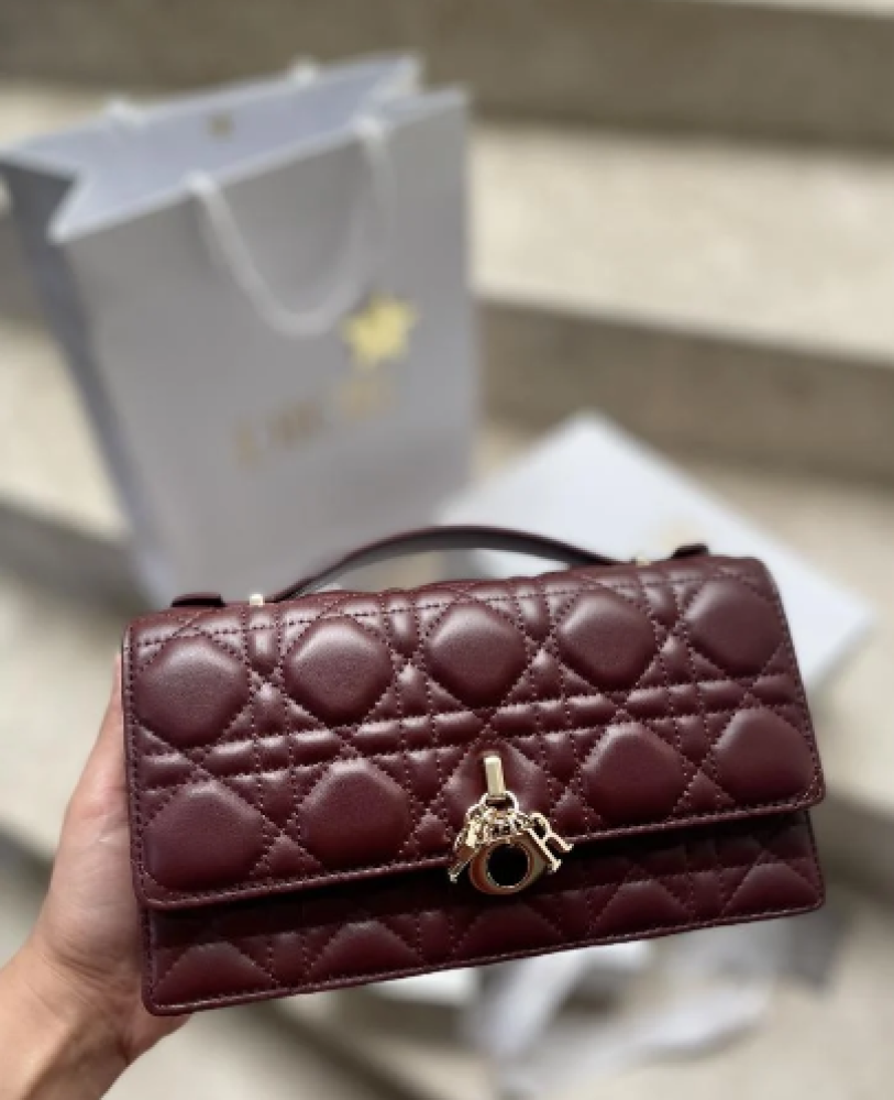 DIOR 21CM