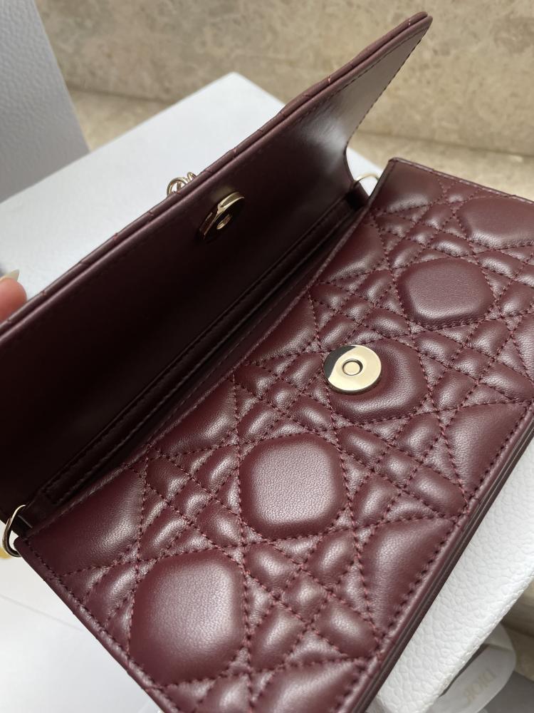DIOR 21CM
