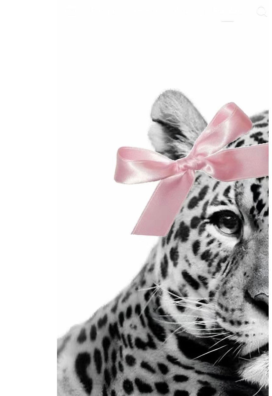 store avatar