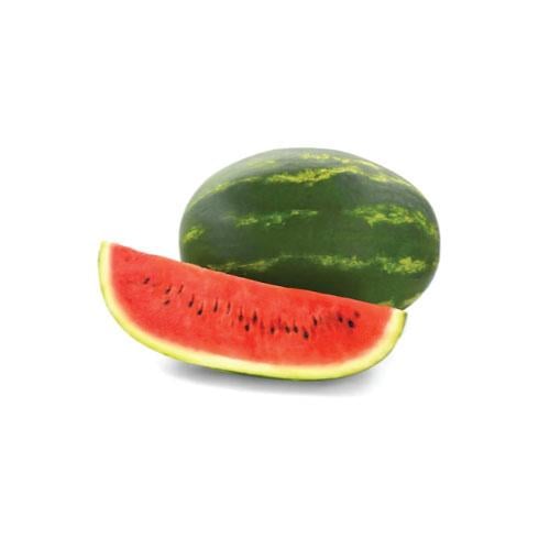 بطيخ
