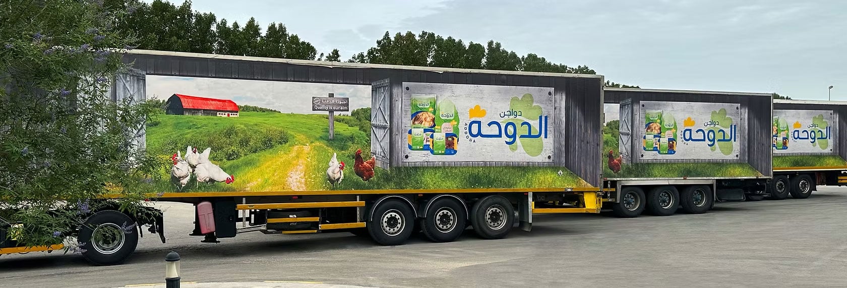 شركة دواجن الدوحه