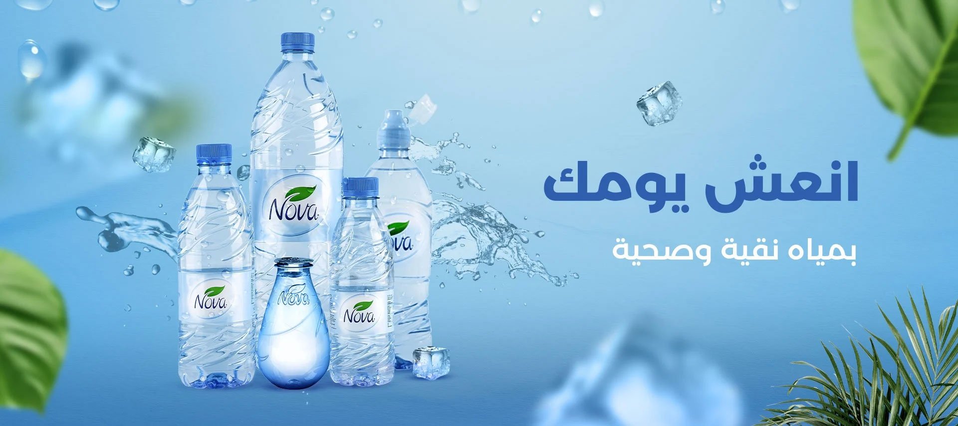 نوفا