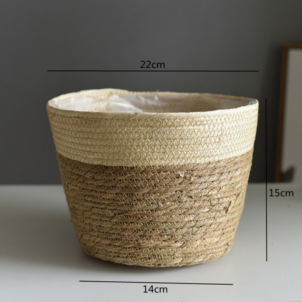 Beige Color M