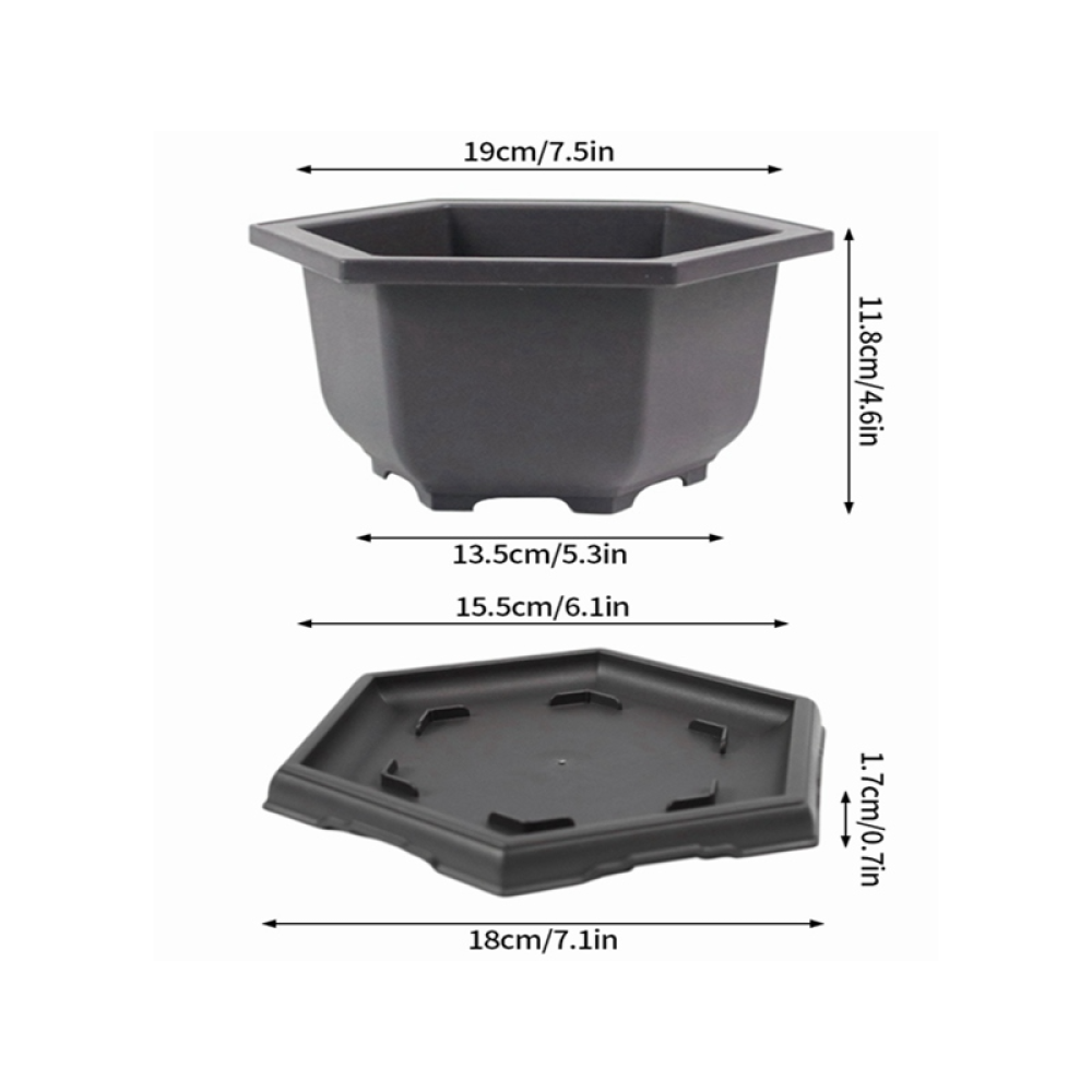 Hexagonal-Mwith tray