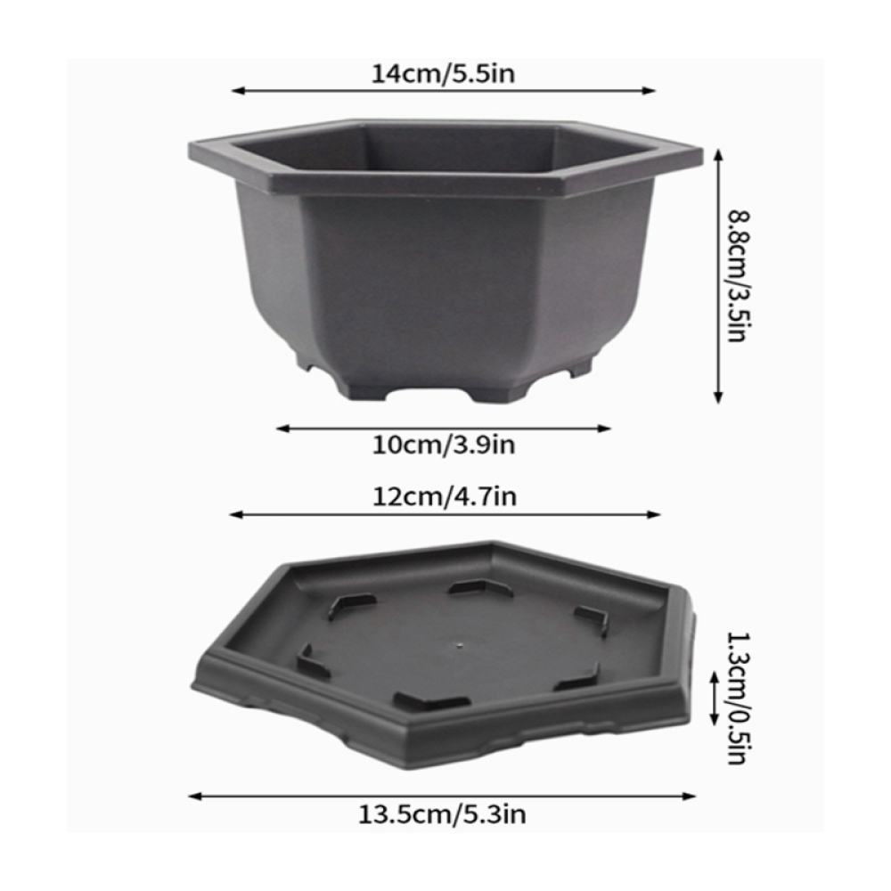 Hexagonal-Swith tray