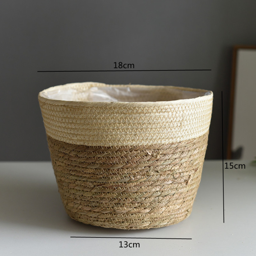 Beige Color S