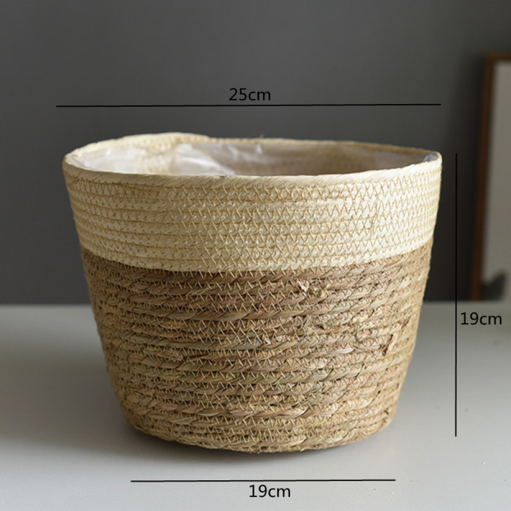 Beige Color L