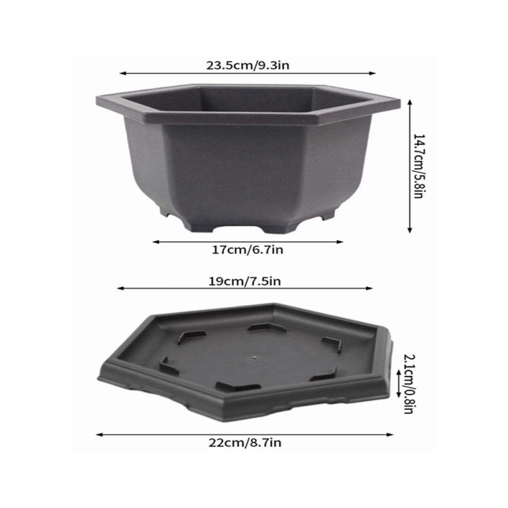 Hexagonal-Lwith tray