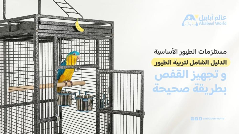 مستلزمات الطيور الأساسية: الدليل الشامل لتربية الطيور وتجهيز القفص بطريقة صحيحة