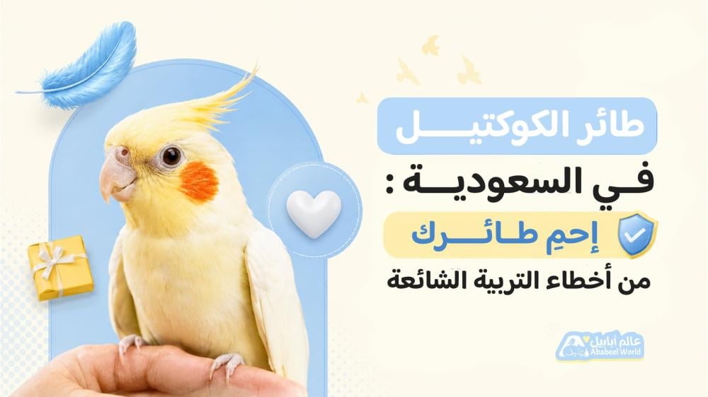 طائر الكوكتيل في السعودية: احمِ طائرك من أخطاء التربية الشائعة