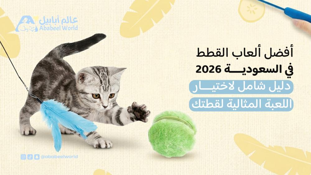 أفضل ألعاب القطط