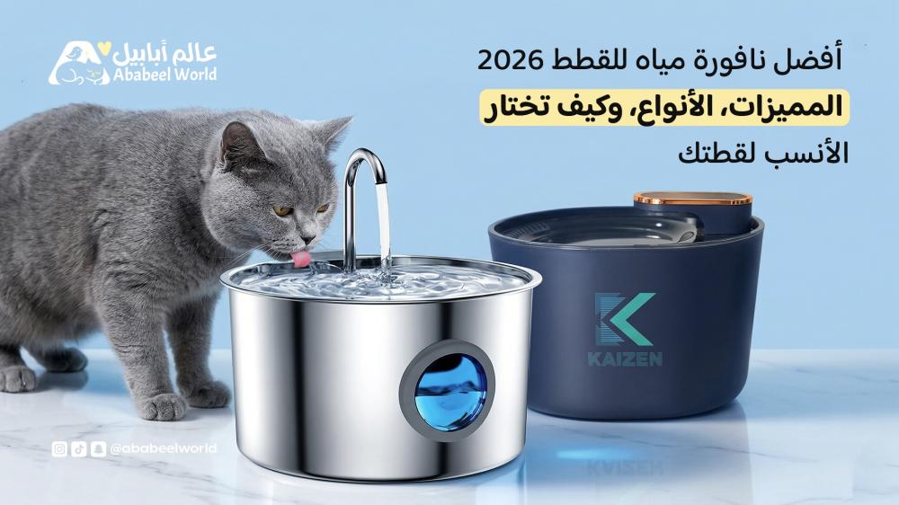 أفضل نافورة مياه للقطط 2026: المميزات، الأنواع، وكيف تختارين الأنسب لق