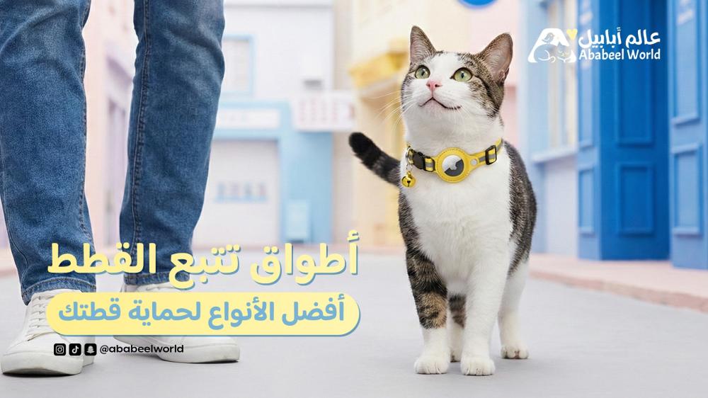 أطواق تتبع القطط