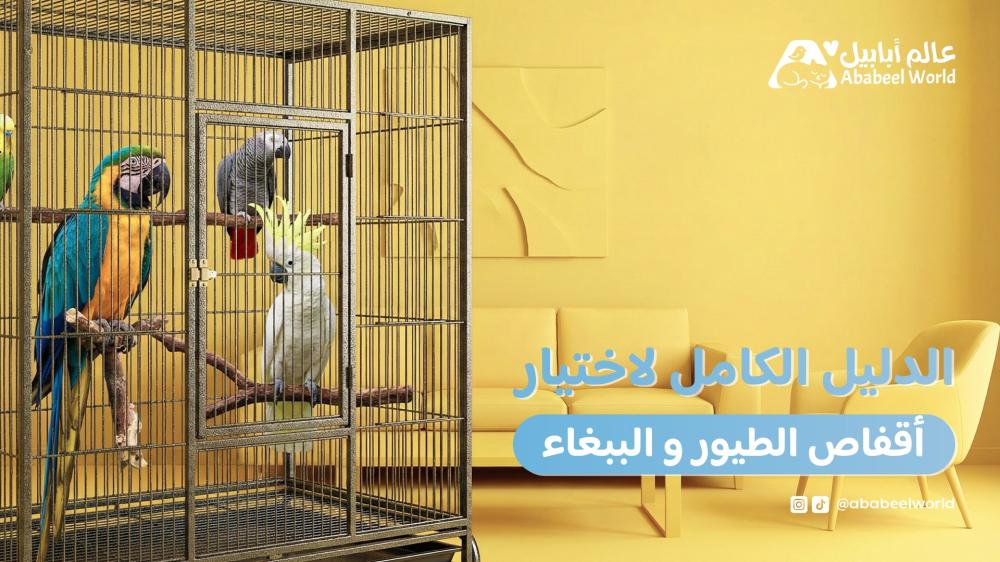 الدليل الكامل لاختيار أقفاص الطيور والبغباء في المنزل 2026