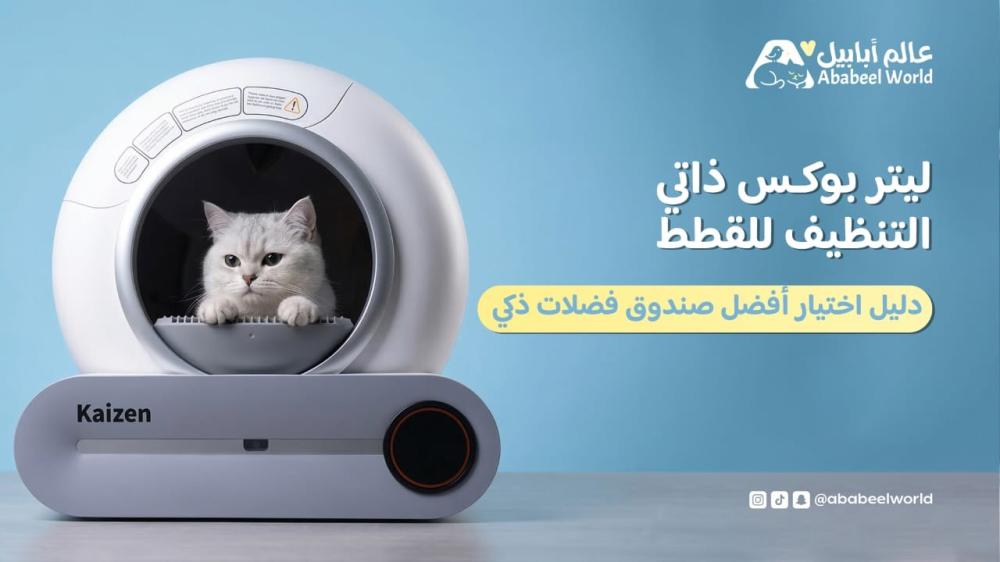 ليتر بوكس ذاتي التنظيف للقطط : دليل اختيار أفضل صندوق فضلات ذكي