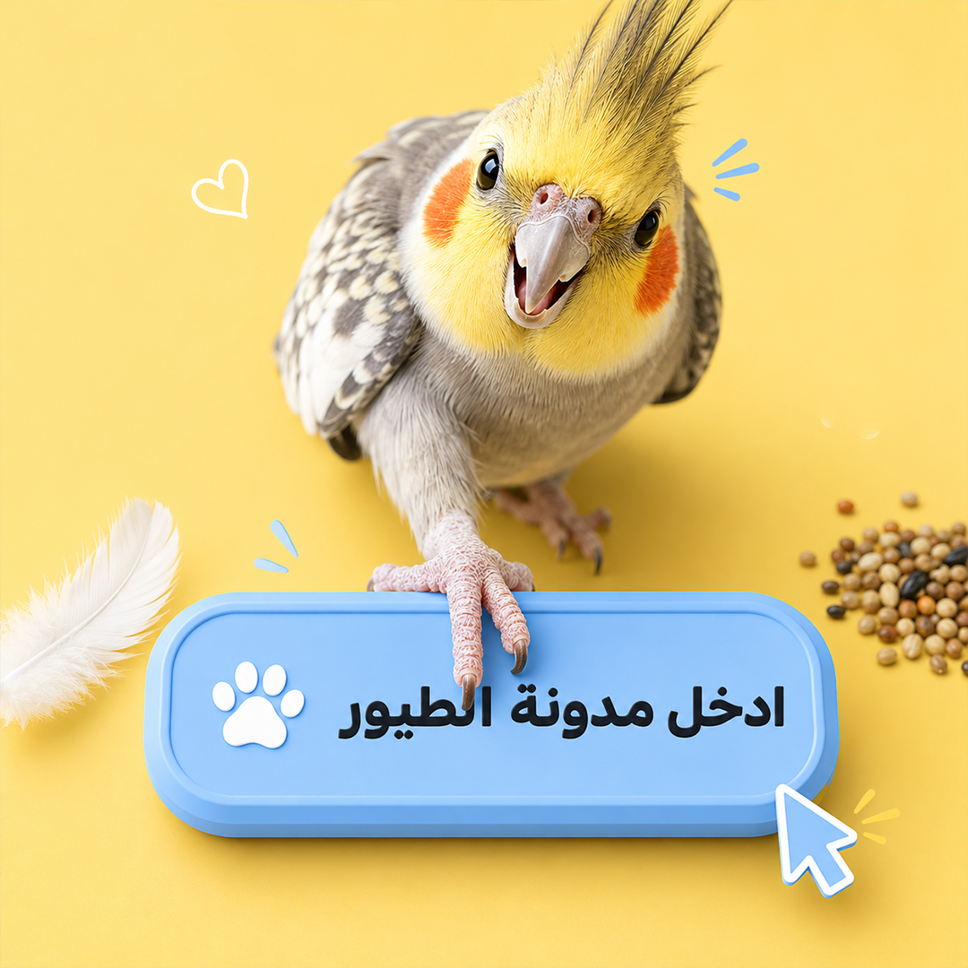 مدونة الطيور
