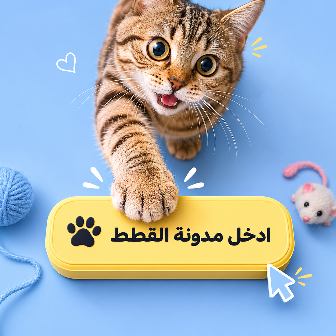 مدونة القطط