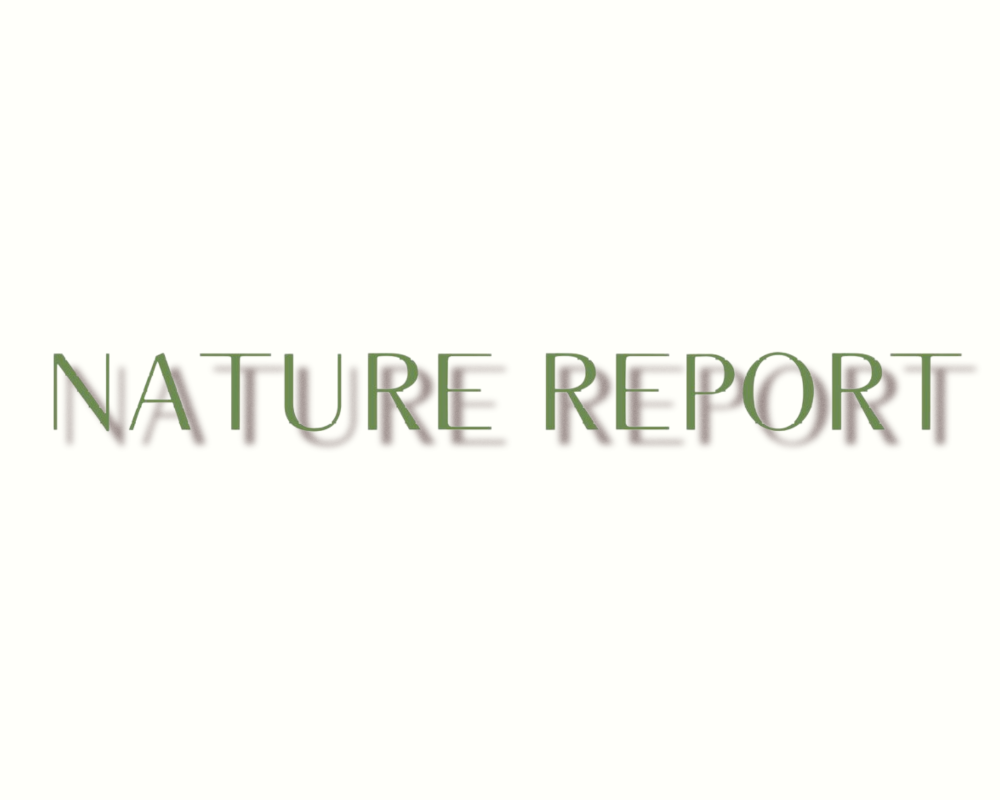 NATURE REPORT