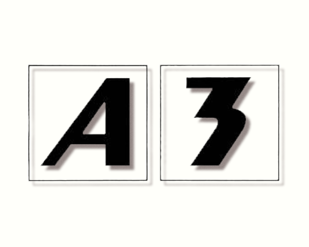 A3