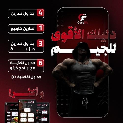 دليلك الشامل للنادي | تمارين | تغذية